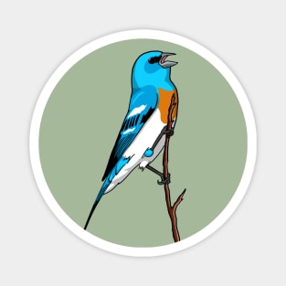 Lazuli Bunting Magnet